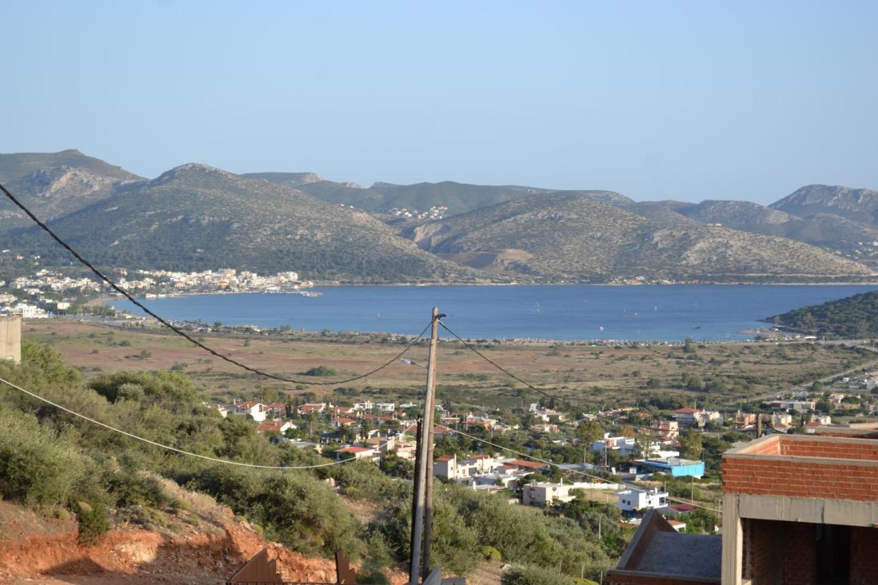 "Stergiou Luxury Apartments" Με Κοινη Πισινα Saronida 外观 照片