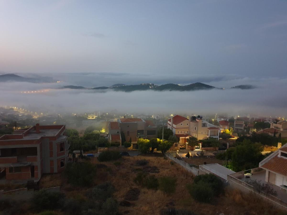 "Stergiou Luxury Apartments" Με Κοινη Πισινα Saronida 外观 照片